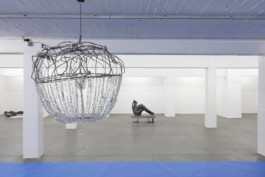 sarah caillard
