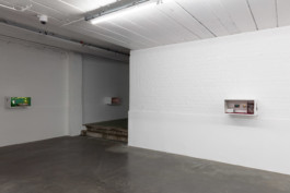 sarah caillard