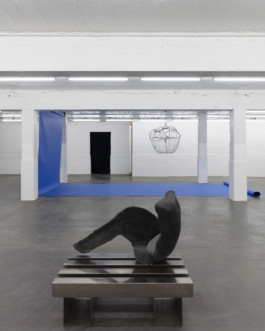 sarah caillard